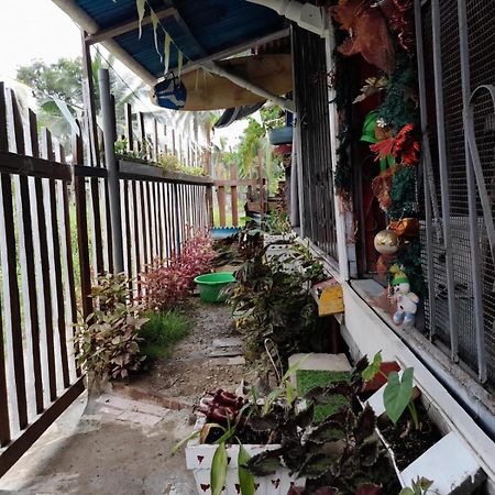 Hostal Cafe Axel Bocas Town Ngoại thất bức ảnh